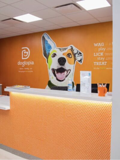 Dogtopia Greenwood - Greenwood, IN