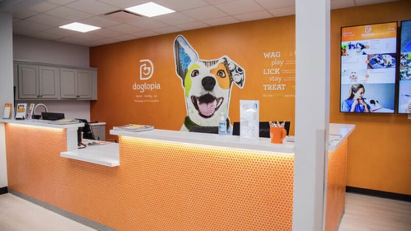 Dogtopia Greenwood - Greenwood, IN