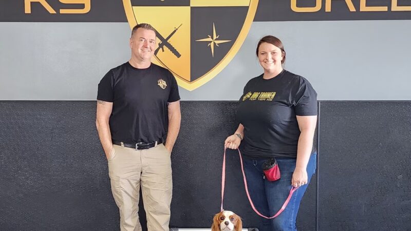 Dogtopia Greenwood - Greenwood, IN