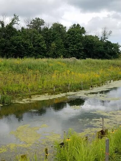 Grassy Creek Park - Greenwood, IN