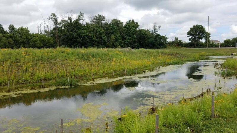 Grassy Creek Park - Greenwood, IN