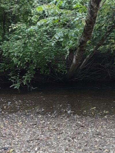 Northwest Park - Greenwood, IN
