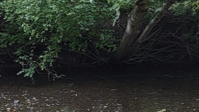 Northwest Park - Greenwood, IN