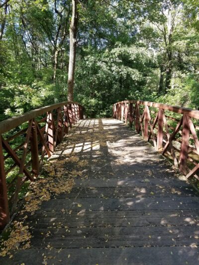 Northwest Park - Greenwood, IN