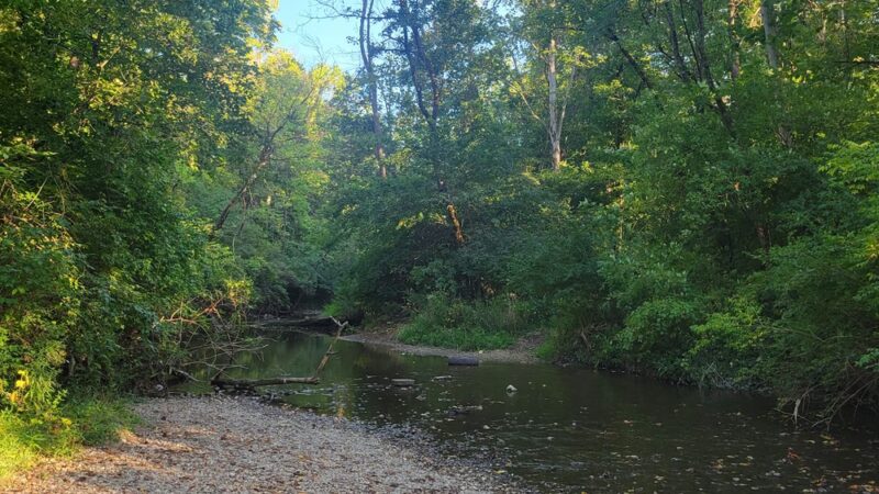 Northwest Park - Greenwood, IN