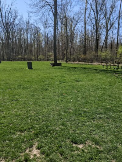 University Park - Greenwood, IN