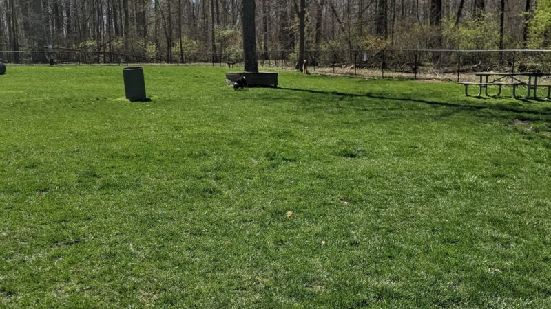 University Park - Greenwood, IN