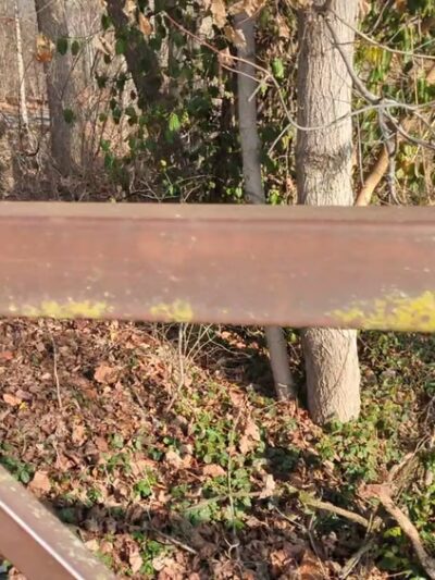 Westside Park - Greenwood, IN