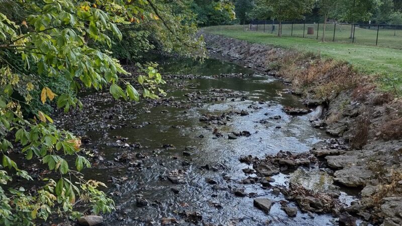 Westside Park - Greenwood, IN