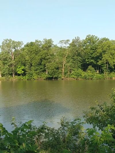 Arbor Lake Park - Grinnell, IA