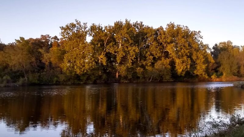Arbor Lake Park - Grinnell, IA