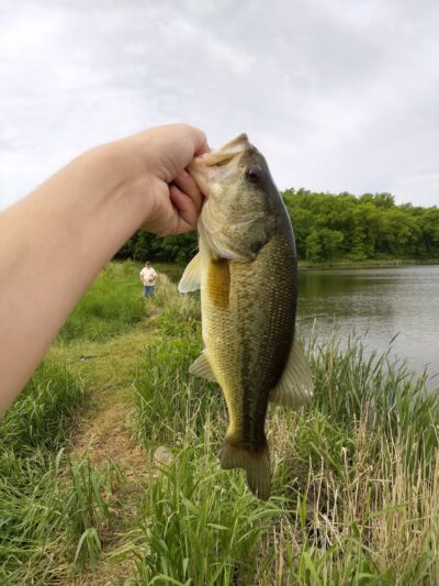 Jacob Krumm Ahrens Access - Grinnell, IA