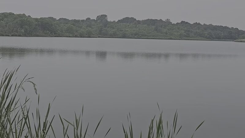 Jacob Krumm Nature Preserve - Grinnell, IA