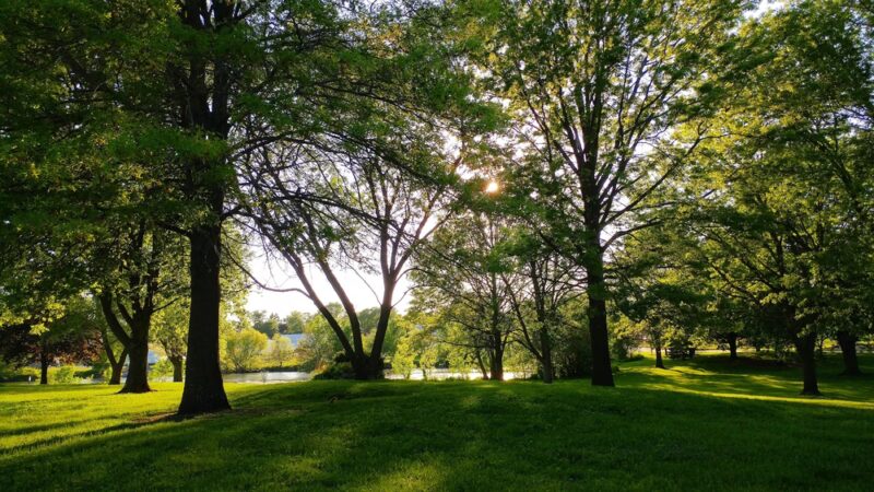 Miller Park - Grinnell, IA