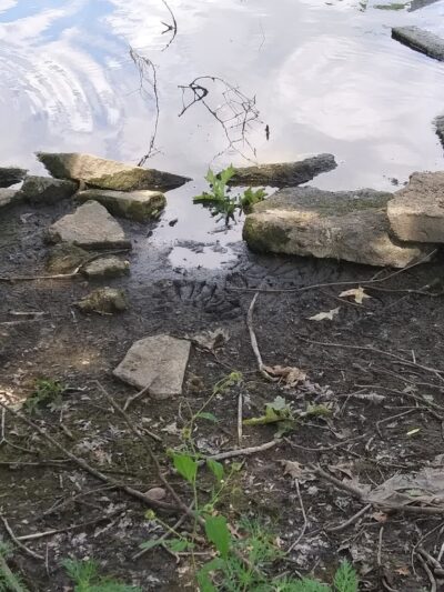 Miller Park - Grinnell, IA