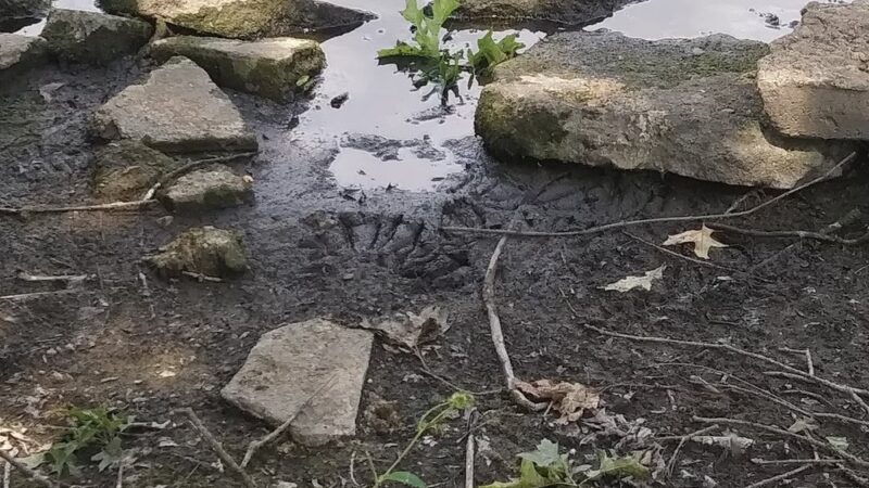 Miller Park - Grinnell, IA