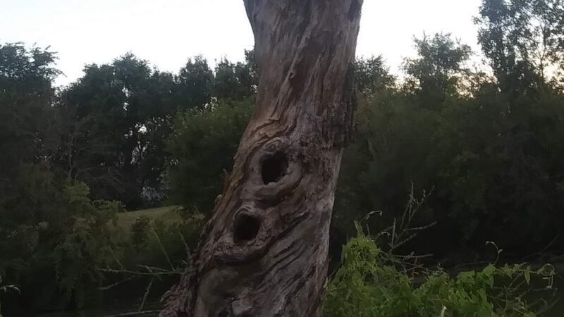 Miller Park - Grinnell, IA