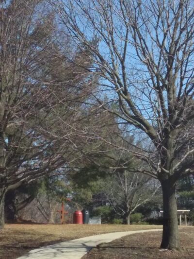 Summer Street Park - Grinnell, IA