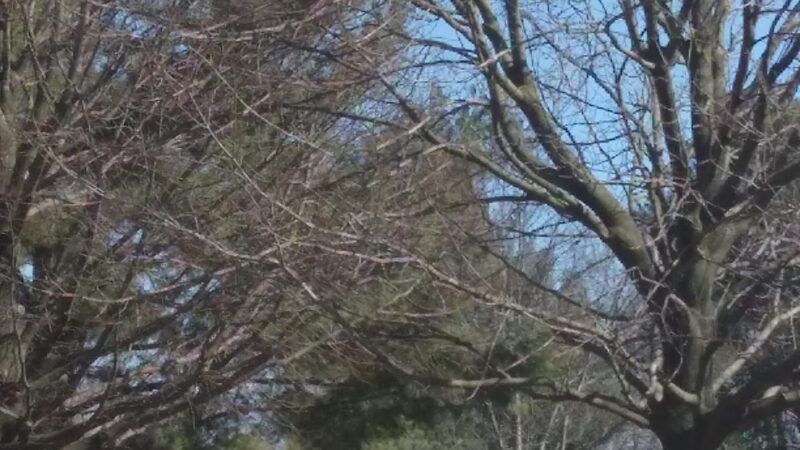 Summer Street Park - Grinnell, IA