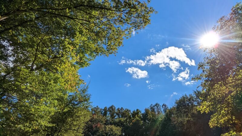 Heron Marsh - Griswold, CT