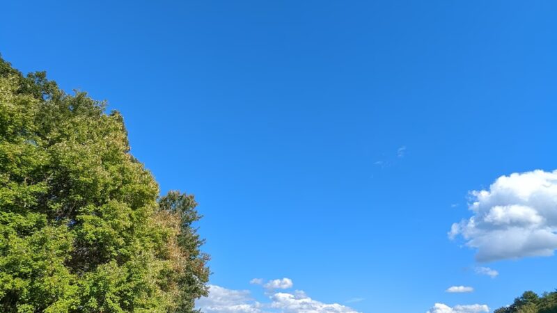 Heron Marsh - Griswold, CT