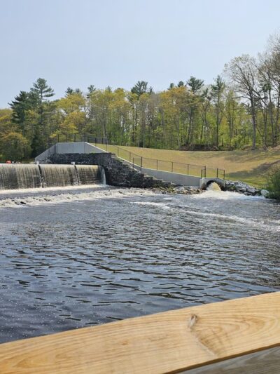 Pachaug Pond Boat Launch - Griswold, CT