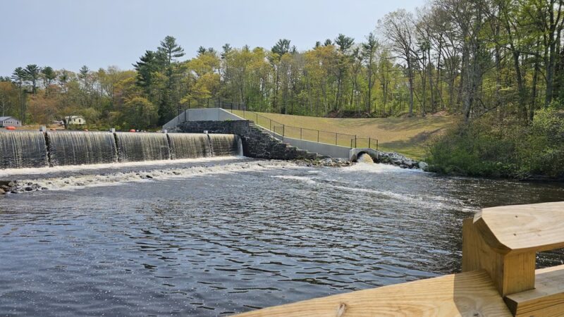 Pachaug Pond Boat Launch - Griswold, CT