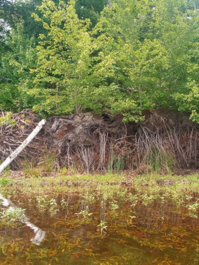 Pachaug Pond Boat Launch - Griswold, CT
