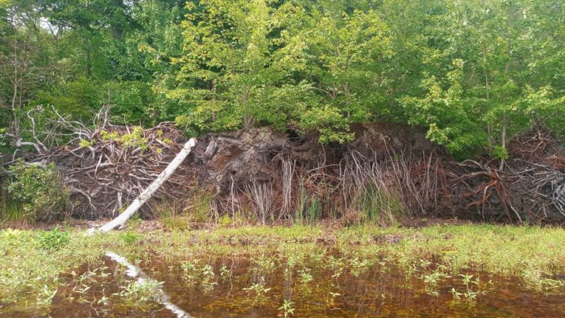 Pachaug Pond Boat Launch - Griswold, CT