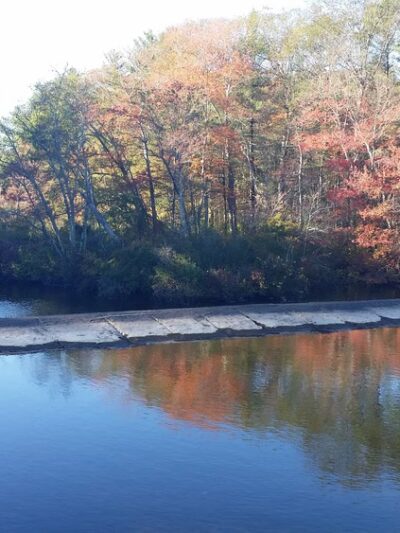 Pachaug Pond Boat Launch - Griswold, CT