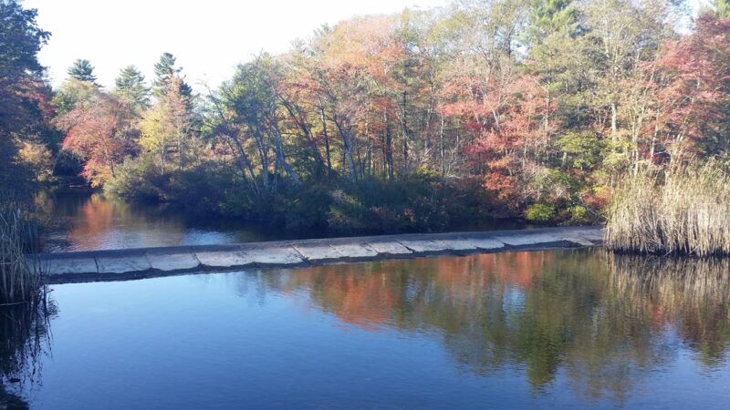 Pachaug Pond Boat Launch - Griswold, CT