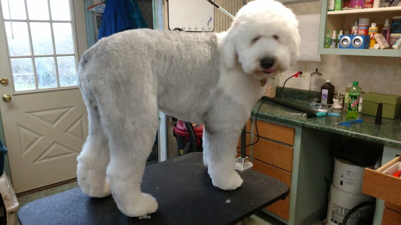 BaMar Farm Country Kennel - Grove City, PA