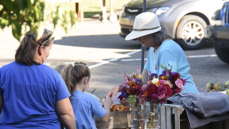 Grove City Market in the Park - Grove City, PA