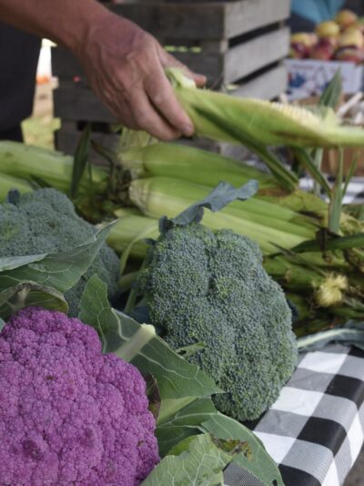 Grove City Market in the Park - Grove City, PA