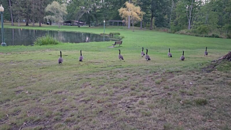 Grove City Memorial Park - Grove City, PA