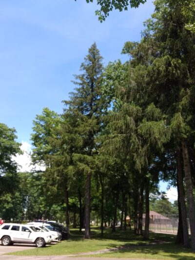 Grove City Swimming Pool - Grove City, PA