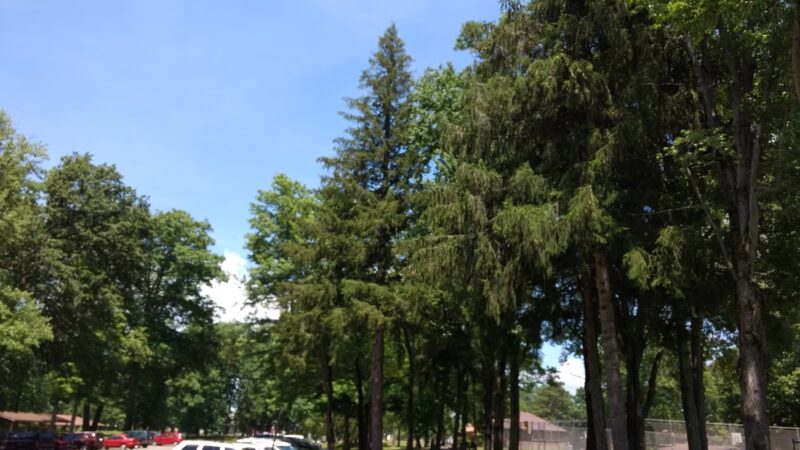 Grove City Swimming Pool - Grove City, PA