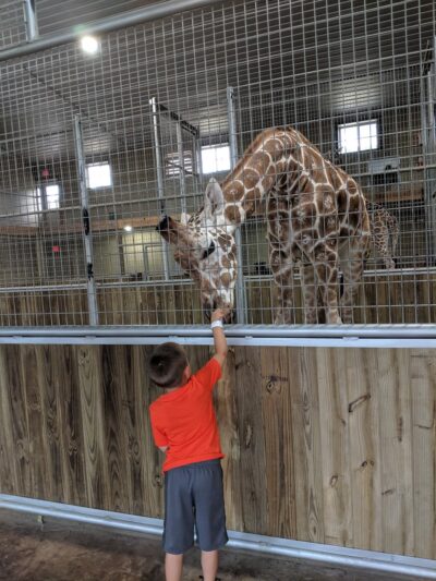 Keystone Safari - Grove City, PA