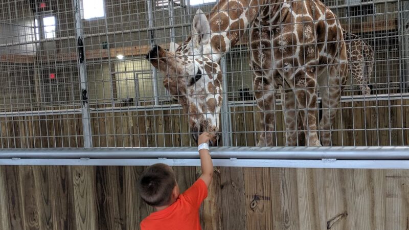 Keystone Safari - Grove City, PA