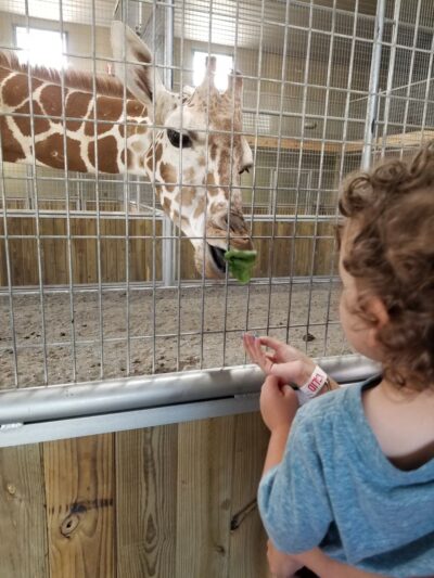 Keystone Safari - Grove City, PA