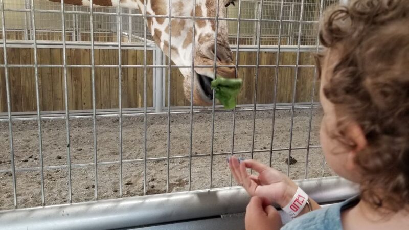 Keystone Safari - Grove City, PA