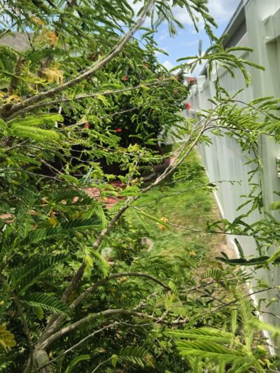 Ronald Sefton Gaffney Memorial Park - Groveland, FL