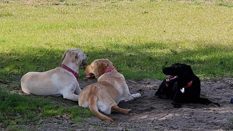 Ronald Sefton Gaffney Memorial Park - Groveland, FL