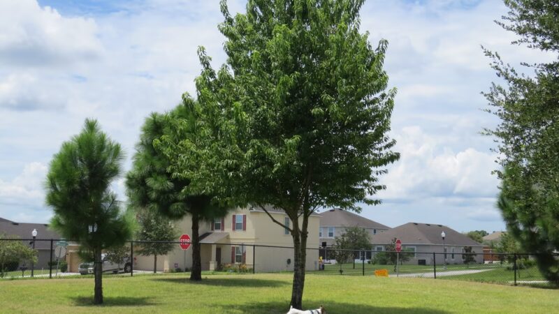 Ronald Sefton Gaffney Memorial Park - Groveland, FL