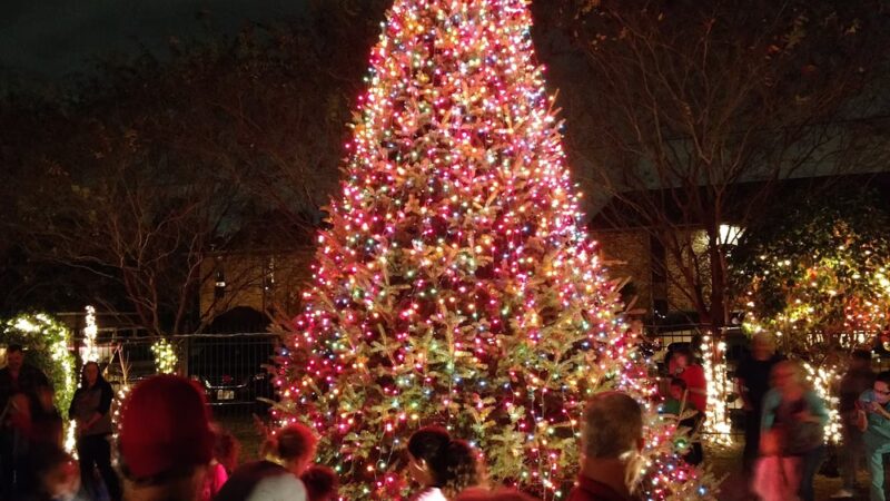 Celebration Park - Groves, TX