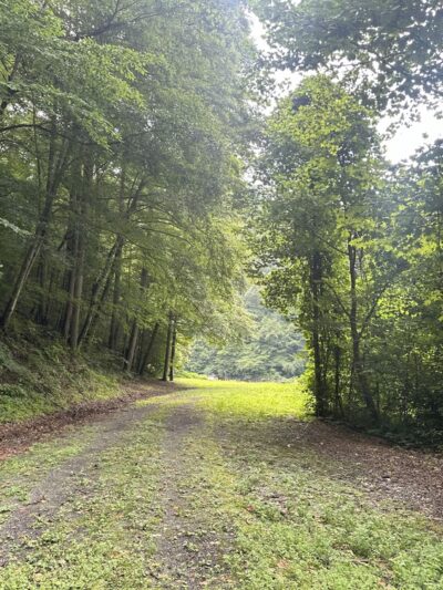 Bull Creek Pedestrian & Bike Trail Head - Grundy, VA