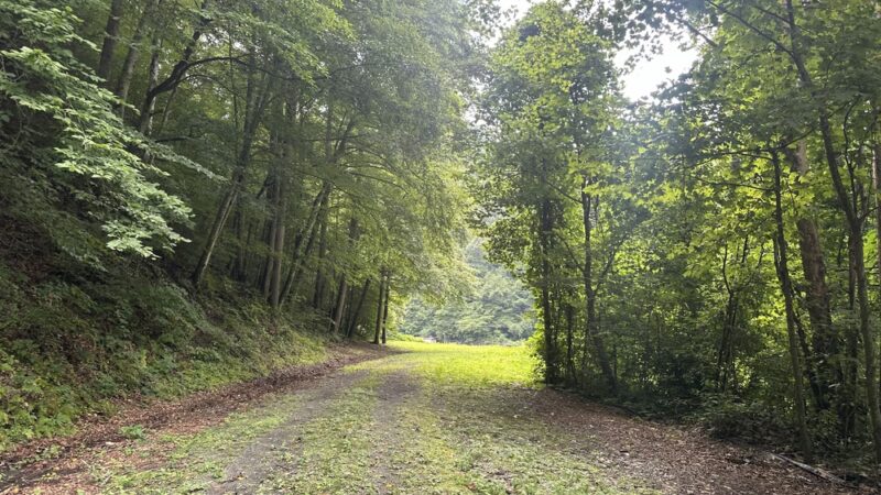 Bull Creek Pedestrian & Bike Trail Head - Grundy, VA