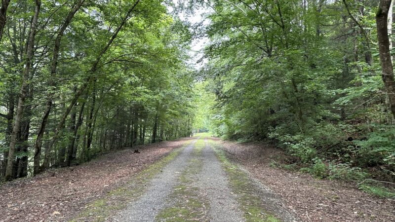 Bull Creek Pedestrian & Bike Trail Head - Grundy, VA