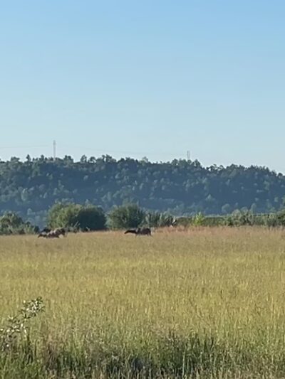 Poplar Gap Park - Grundy, VA