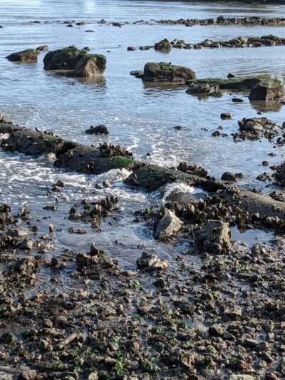 Barbara Pine Memorial Beach - Guilford, CT